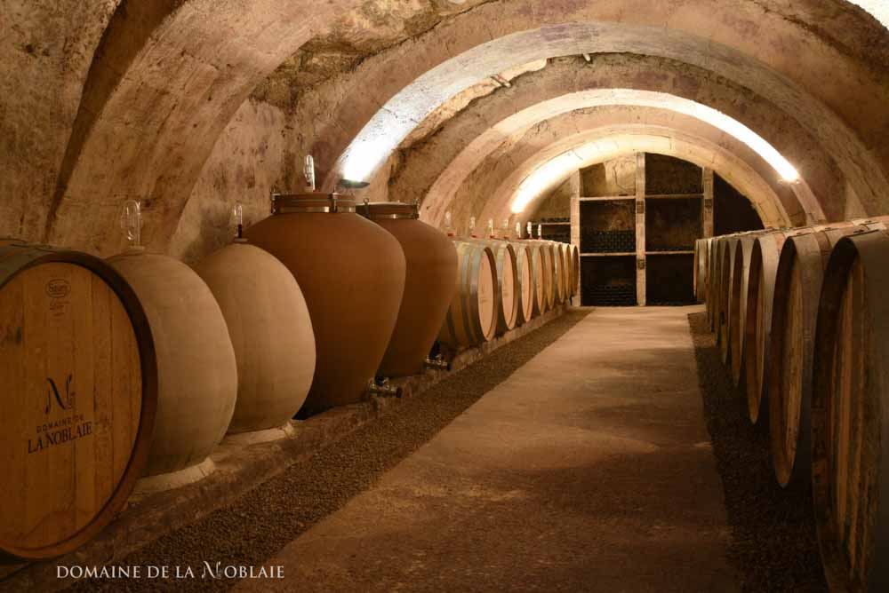 D'Angers à Chinon : 1, 2, 3 et 4 châteaux... #4